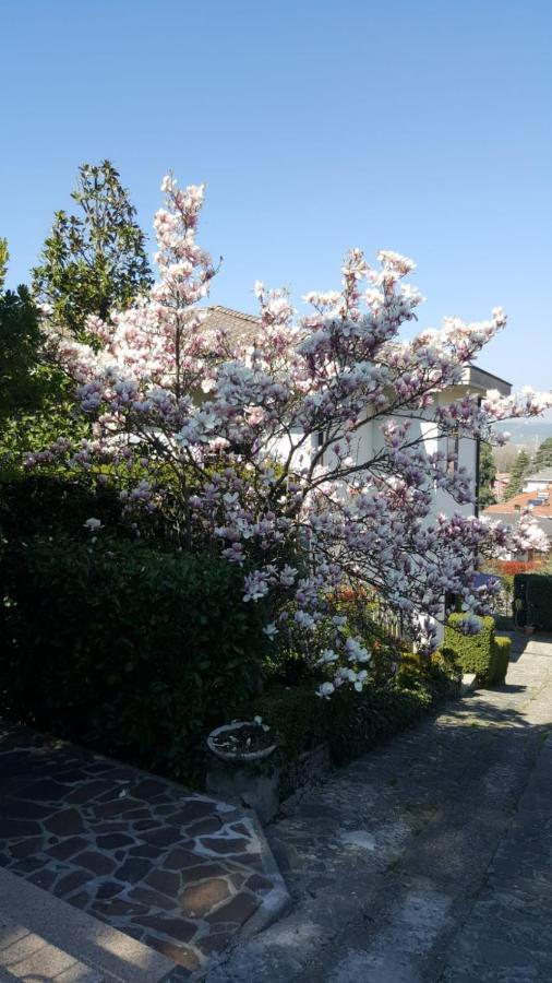 Nel Giardino Di Oz Bed & Breakfast Fornovo di Taro Exterior foto